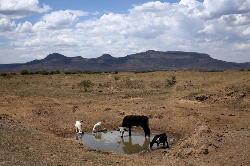 El Ni?o Worsens Drought In Southern Africa ? And 14 Million People Could Go Hungry