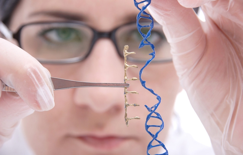 A Landmark Ruling Allows Gene Editing In Human Embryos
