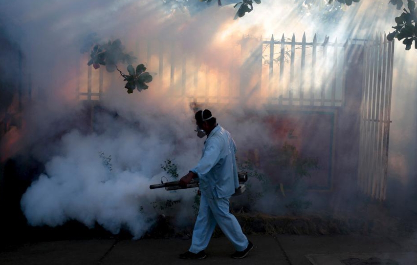 There's One Thing That Could Make The Zika Virus Much More Dangerous — Climate Change