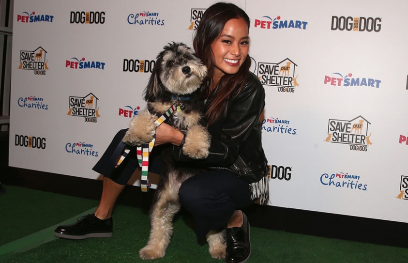 Actress Jamie Chung Encourages Pet Adoption