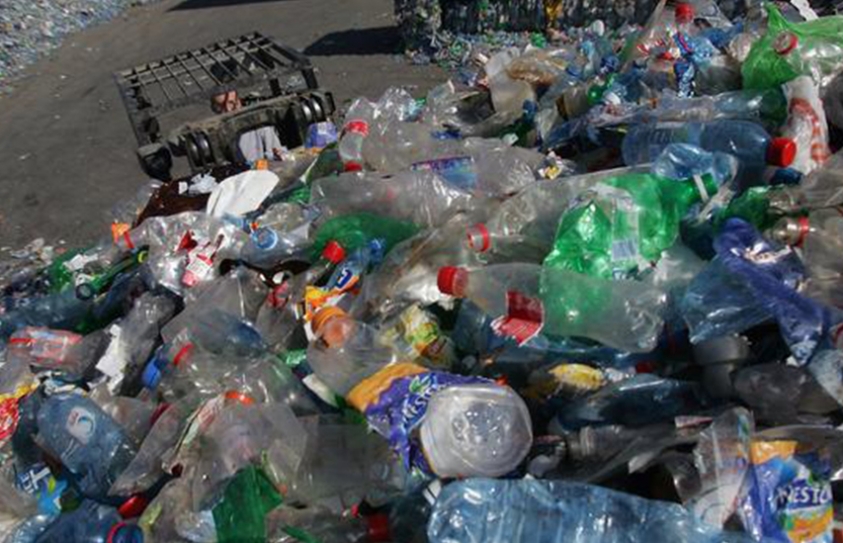 Plastic-Eating Bacteria Could Help Make Trash Disappear