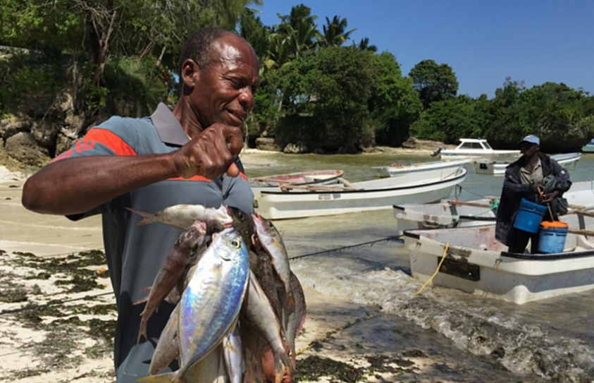 Sustainable Fisheries – An Emerging New Normal?