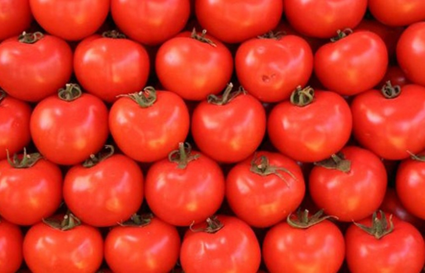 Tomatoes Could Be Turned Into Major Source Of Green Energy