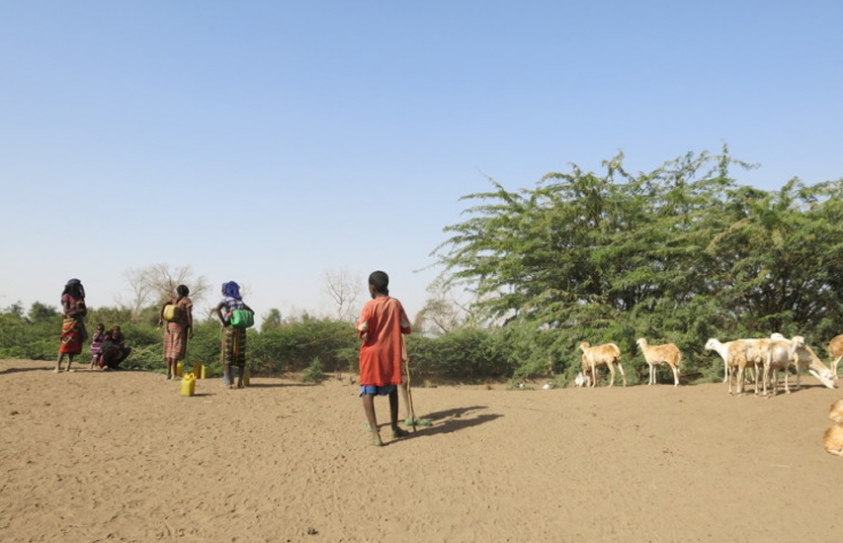 Lessons From Semi-Arid Regions On How To Adapt To Climate Change