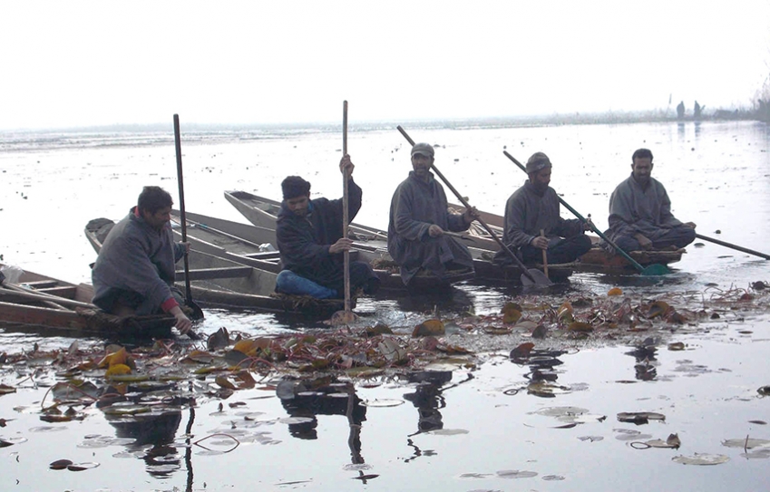 Kashmiri's Joined Hands To Clean Dal Lake In This Amazing Community Effort