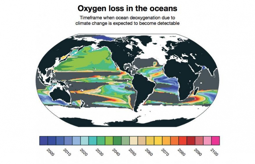 Huge 'Dead Zones' Could Appear in the World's Oceans by 2030 Because of Climate Change