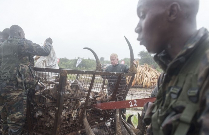 IN PHOTOS: THE LARGEST BURNING OF IVORY IN HISTORY
