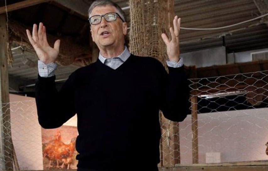 Bill Gates Launches Chicken Plan To Help Africa Poor