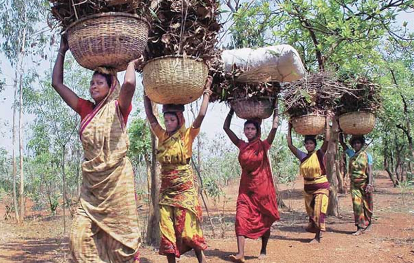 Chhattisgarh Communities Assert Forest Rights
