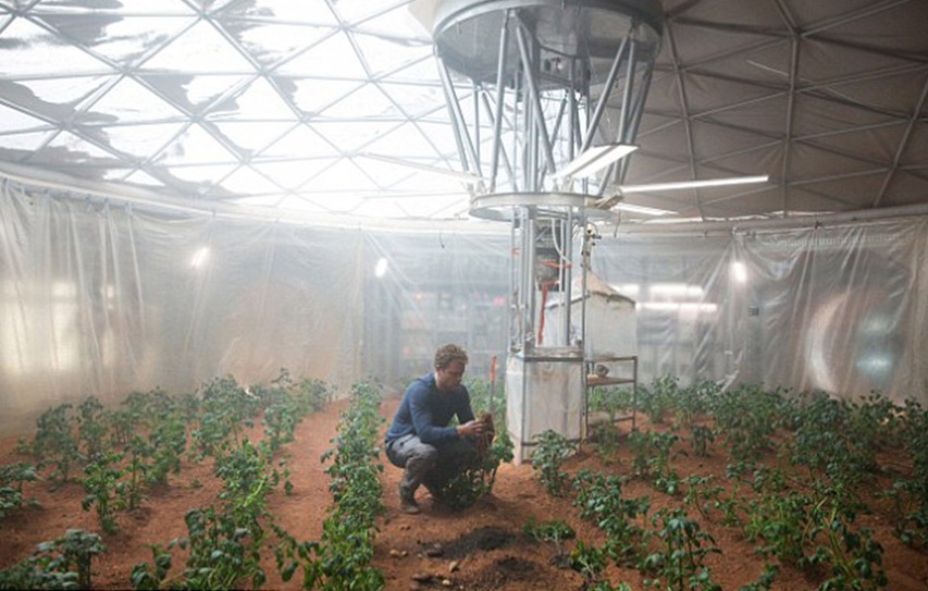 It's Safe To Eat These 4 Crops Grown In 'Martian Soil'