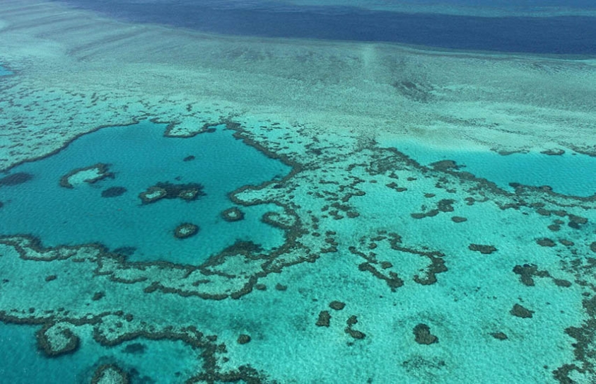 Great Barrier Reef: Why Are Government And Business Perpetuating The Big Lie?