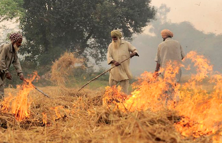 Haryana Girl Takes A Brave Stand Against Air Pollution, Reports Her Father For Stubble Burning