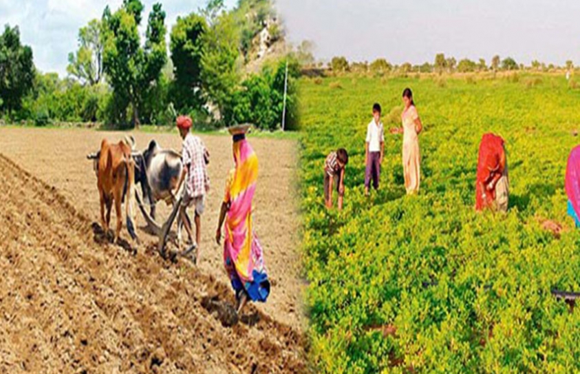 Rajasthan To Set Up First Authority To Guarantee Land Titles 