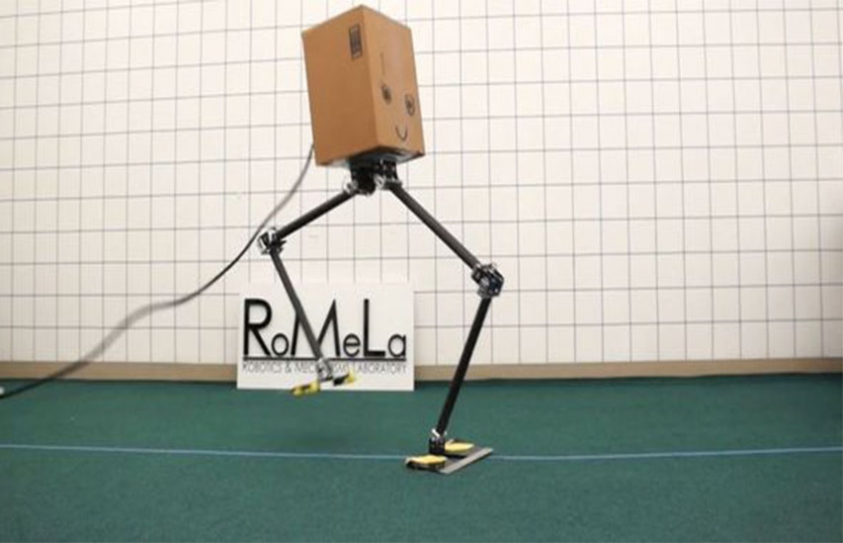   Bipedal Robots Are Better at Walking Sideways