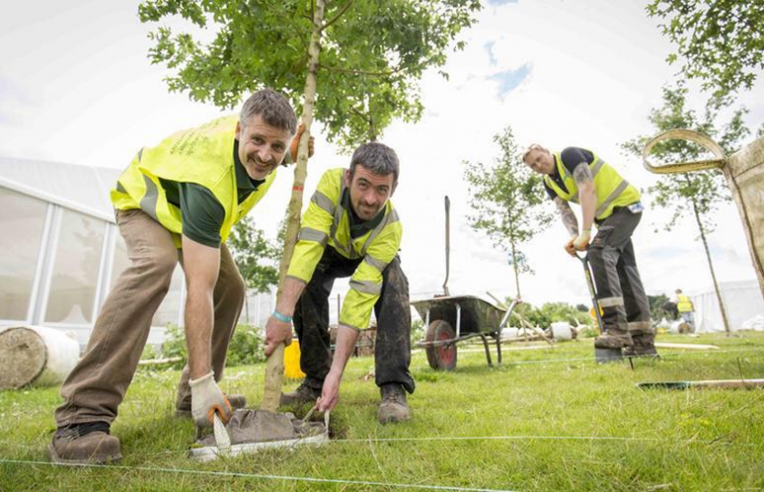 Project Aims To Grow A 'City Of Trees'