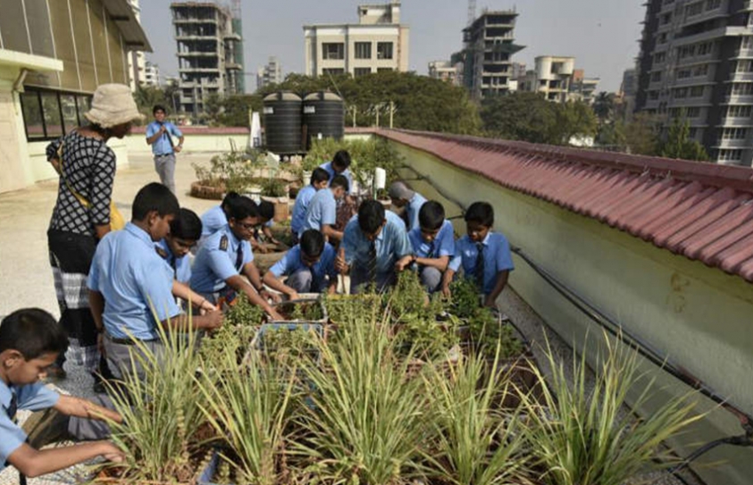 Chembur School Students Create Their Very Own Terrace Garden