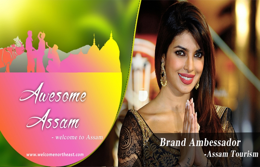 Priyanka Chopra Signed In As Assam Tourism Brand Ambassador 