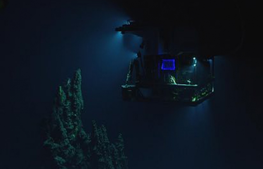 'Extraordinary' Levels Of Pollutants Found In 10km Deep Mariana Trench 