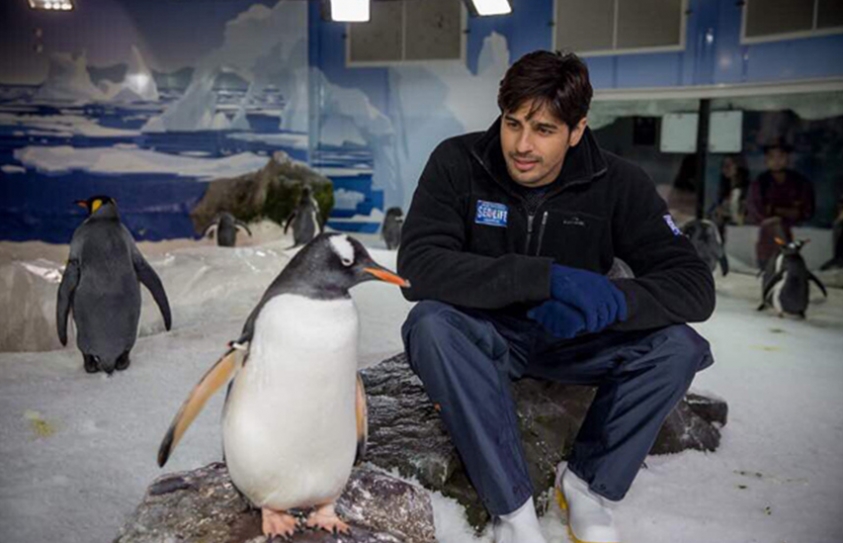  Sidhartha Malhotra Spends #WorldPenguinDay With His Bud And It Is Just Adorable