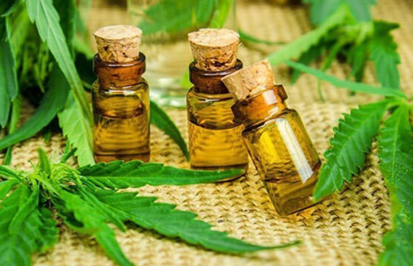 Four Indians Who Are Using Cannabis Oil As Medicine 