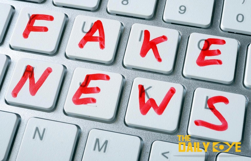 The Fake News Phenomenon