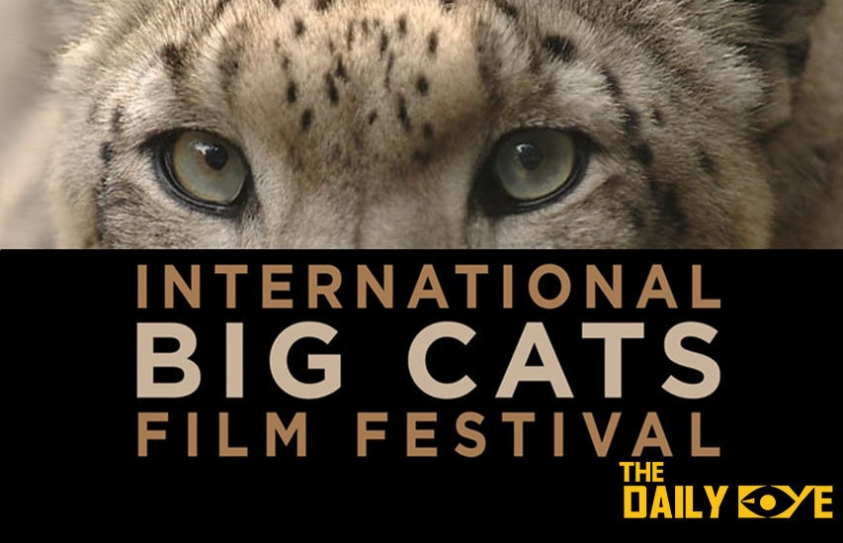 Indian wildlife film wins at the UN Big Cats Film Festival