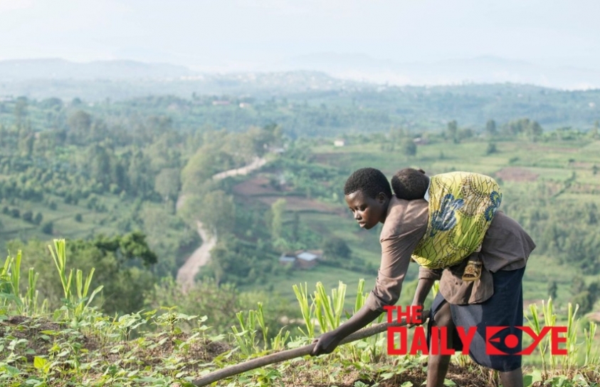 Agricultural Workers are the World’s Hungriest, says UN Expert