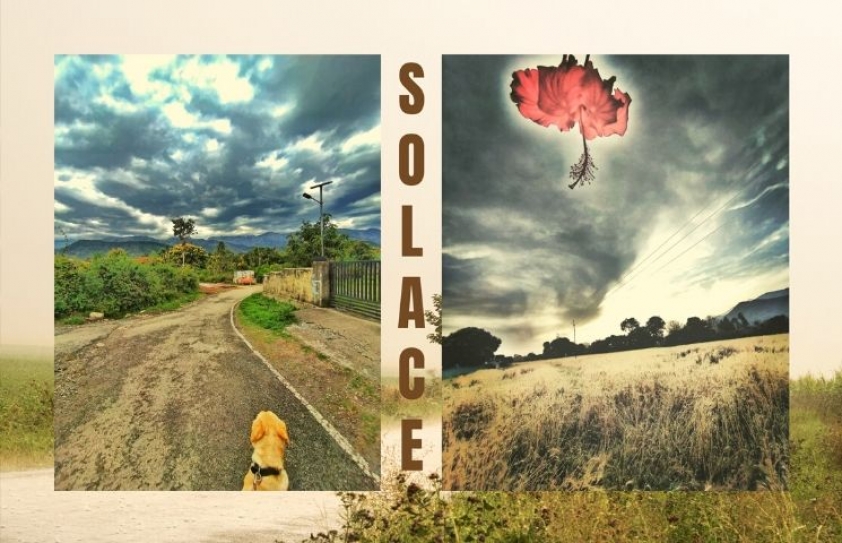 Solace: In the time of the Coronavirus
