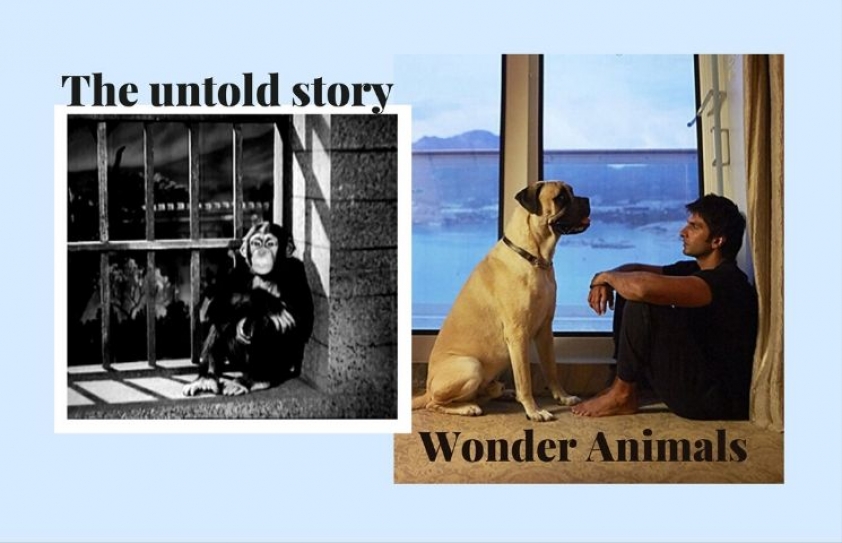 Wonder Animals: The Untold Story