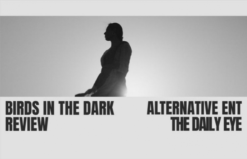 BIRDS IN THE DARK REVIEW