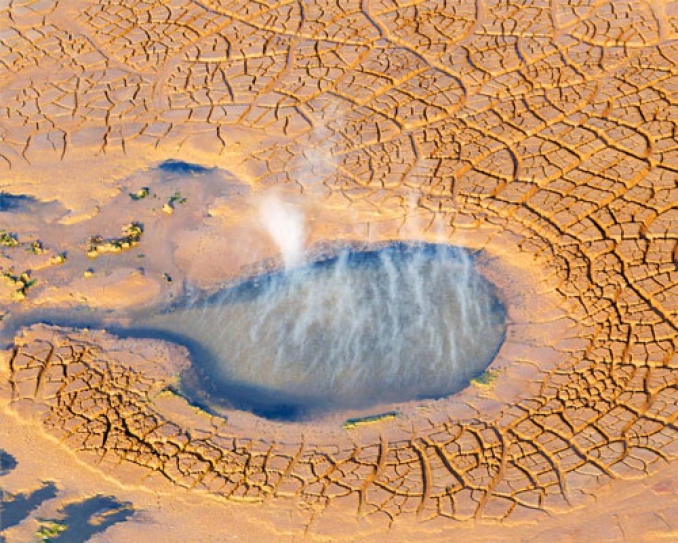 Drought followed by brain: How climate change spurred evolution of human intelligence
