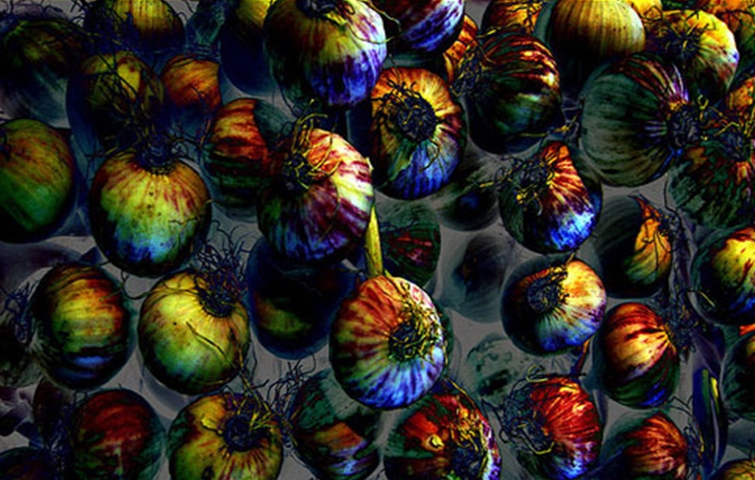 Garlic Tales 
