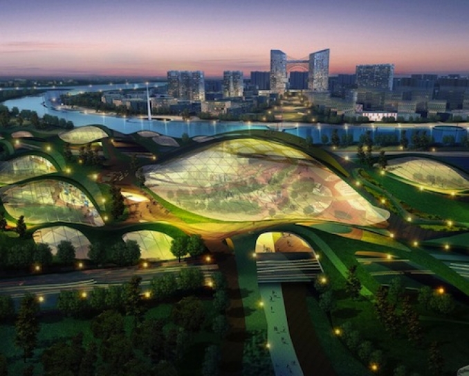 Cities and Sustainable Development