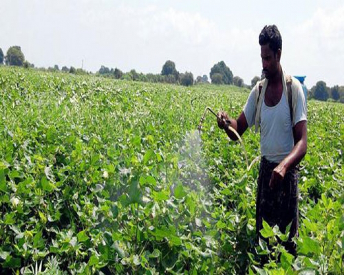 Small Farmers & Climate Change