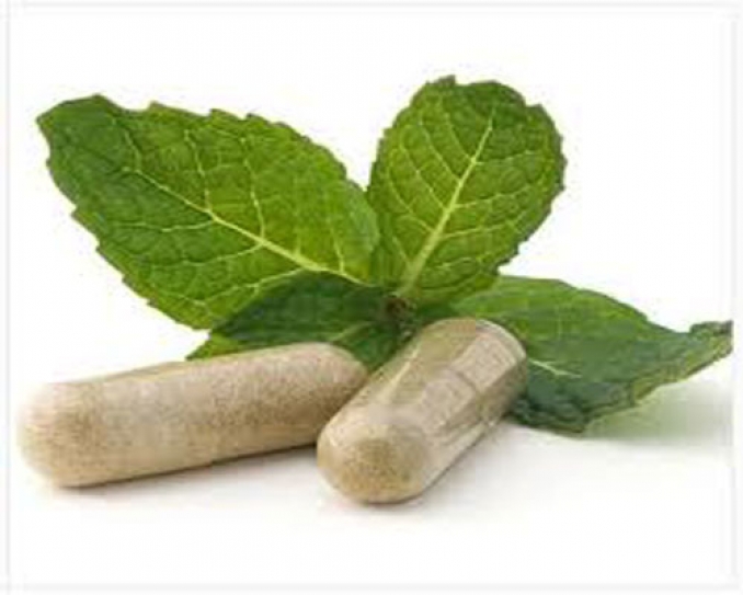 Herbal Supplements Are Often Not What They Seem