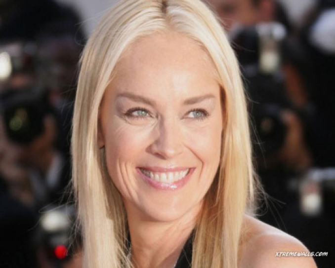 Sharon Stone kicks off crowd funding campaign for online middle east peace academy