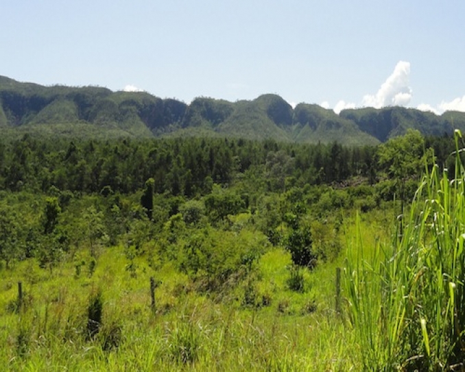 Amazon condom factory: A sustainable way to profit from Brazil's forests