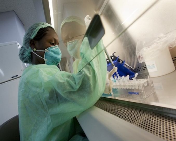 Hope of new treatment for Malaria