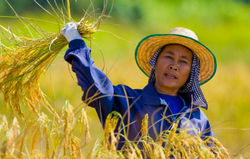 How can we make sustainable development work for the poor?