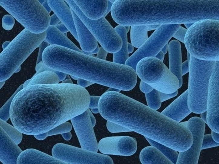 Viral infections may soon be history