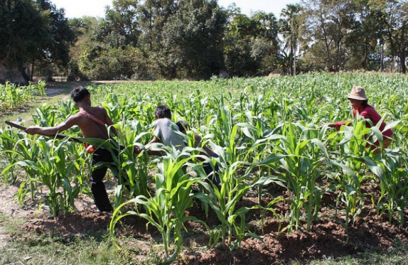 India conference raises profile of small family farming