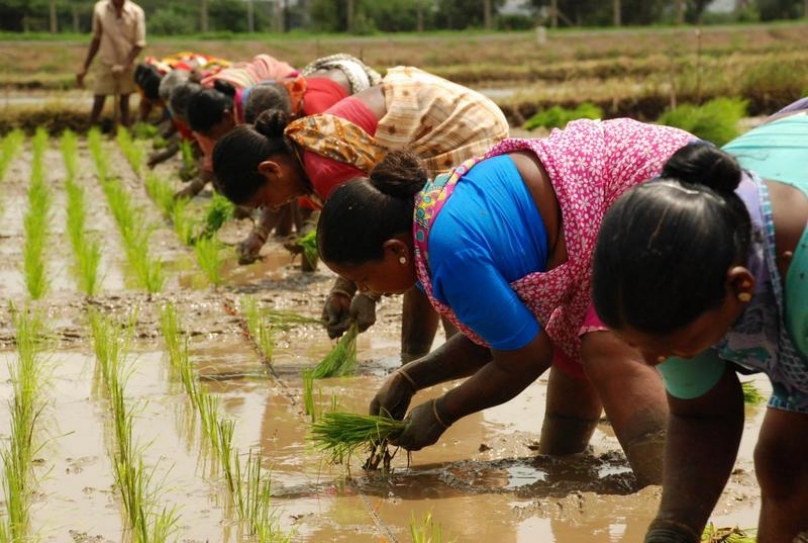 Tata Power’s Samridhi programme supports 1,194 farmers across 28 villages in Maval and Karjat talukas