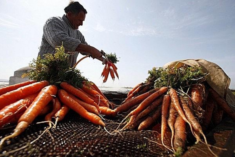 Farmers encouraged to follow sustainable agricultural practices