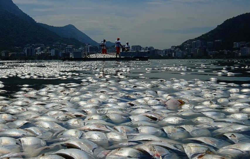 Climate change is killing life at the bottom of the sea