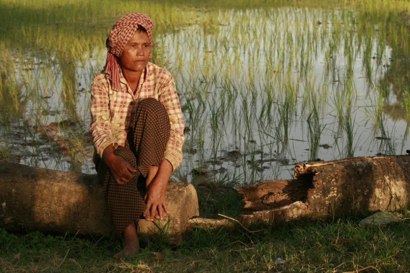 Farm yields may drop if climate change impact not addressed