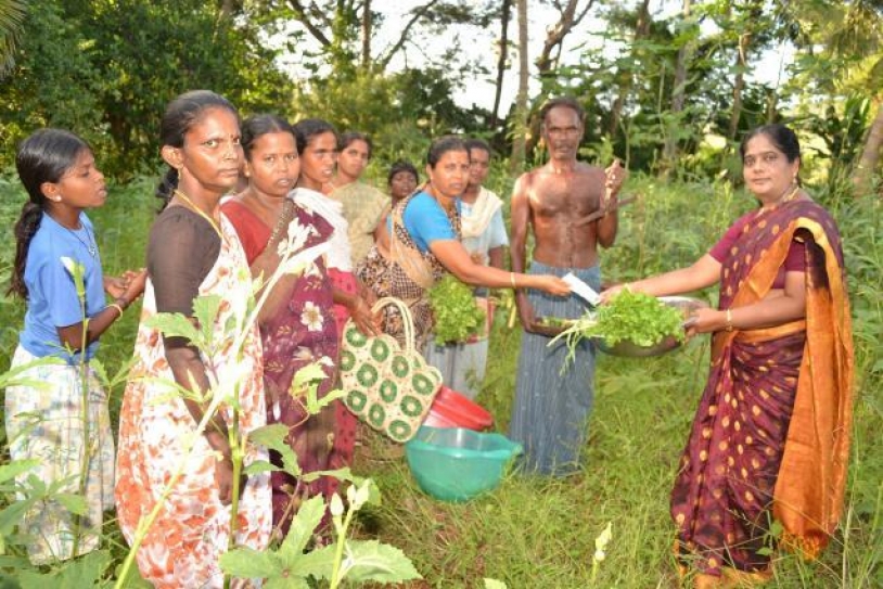 Stem Ryots' Suicides with Organic Farming
