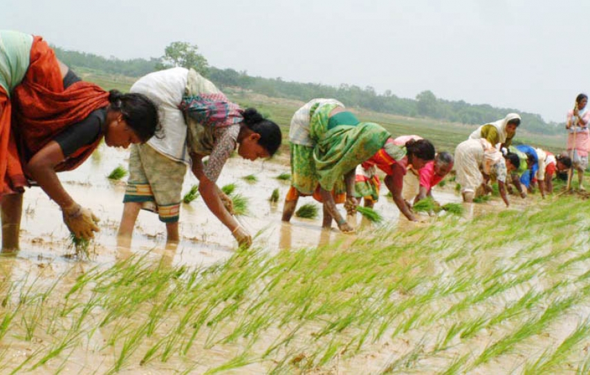 Bihars agriculture & food industry may touch Rs 1 lk cr by next year