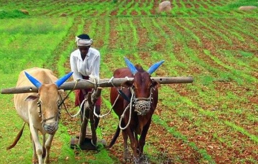 Food and drink industry backs sustainable farming scheme