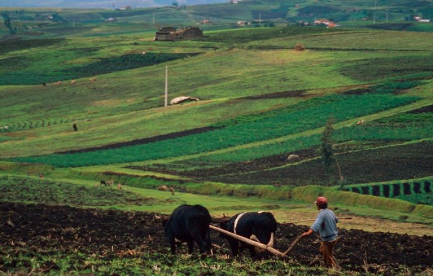 Climate Change Clouds Farmers