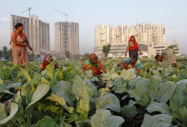Climate Change Threatens India’s Food Security